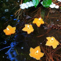 Floating Maple Leaf Beeswax Candles - BIG FRENCHIES