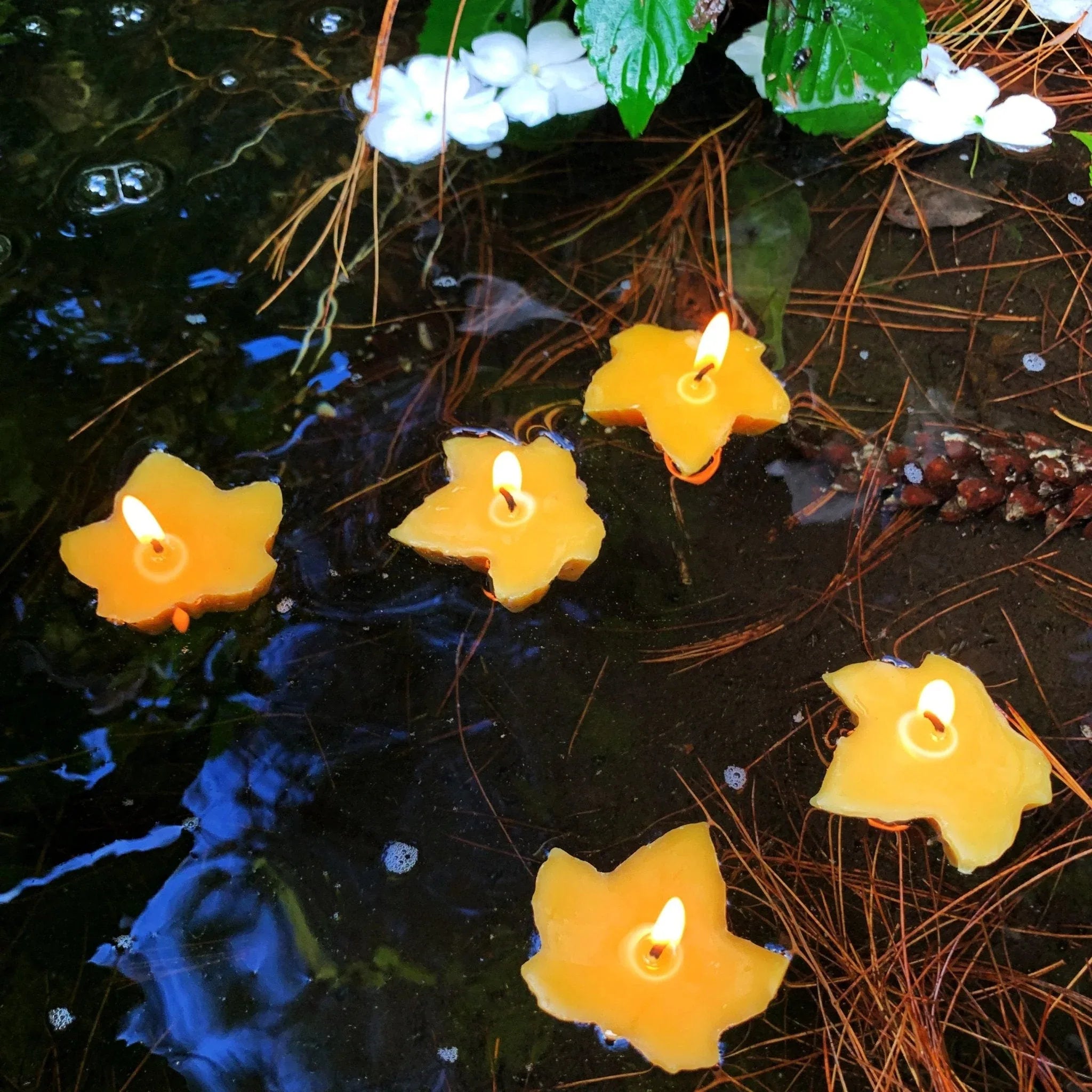 Floating Maple Leaf Beeswax Candles - BIG FRENCHIES