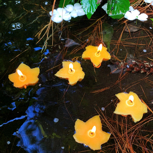 Floating Maple Leaf Beeswax Candles - BIG FRENCHIES