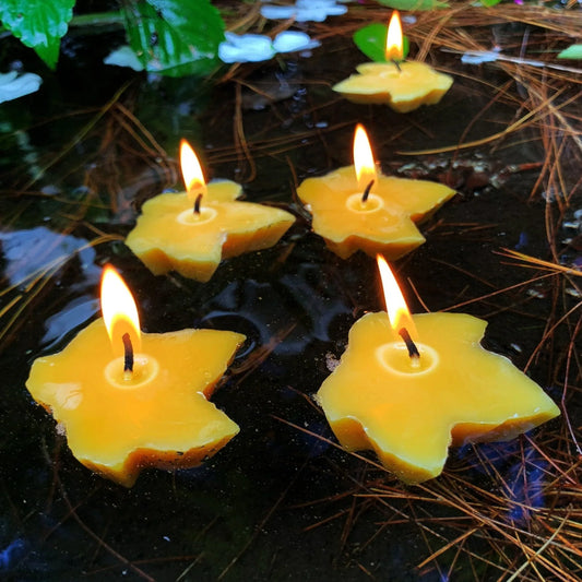 Floating Maple Leaf Beeswax Candles - BIG FRENCHIES