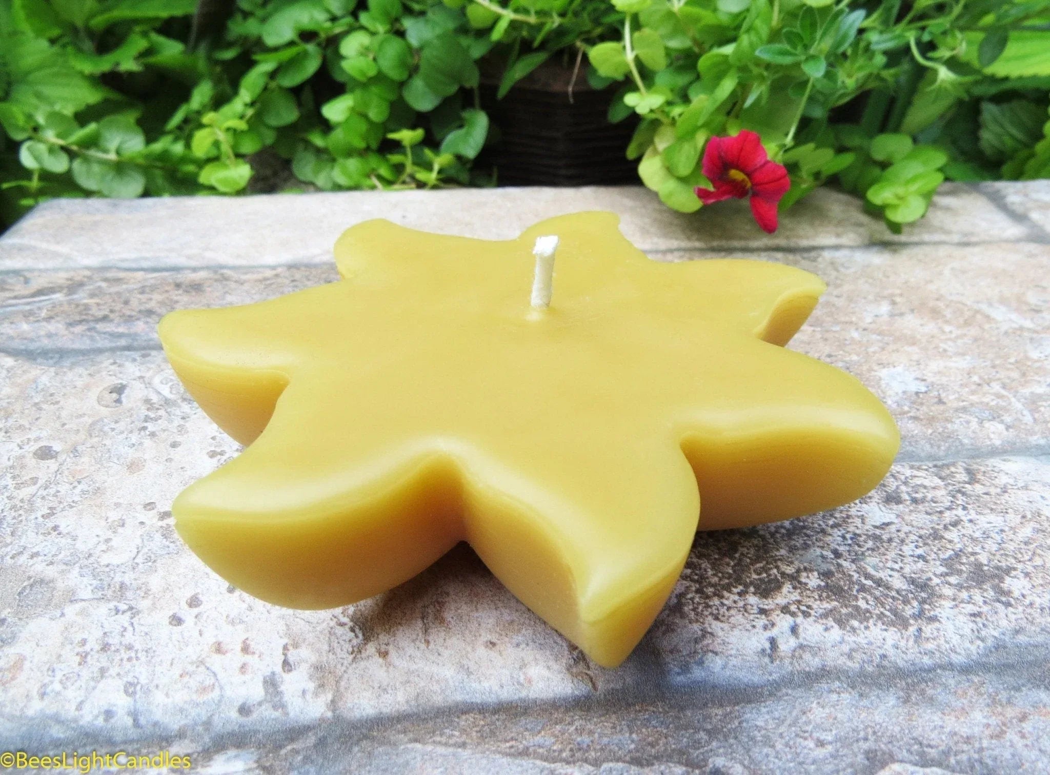 Large Floating Sun Beeswax Candle - BIG FRENCHIES