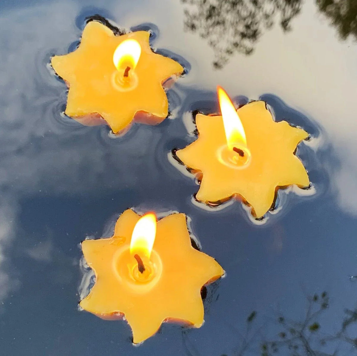 Floating Sun Beeswax Candles - BIG FRENCHIES