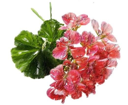 Certified Organic Facial Cleansing Gel with Geranium Oil for all skin types | sensitive skin double cleansing methods - BIG FRENCHIES