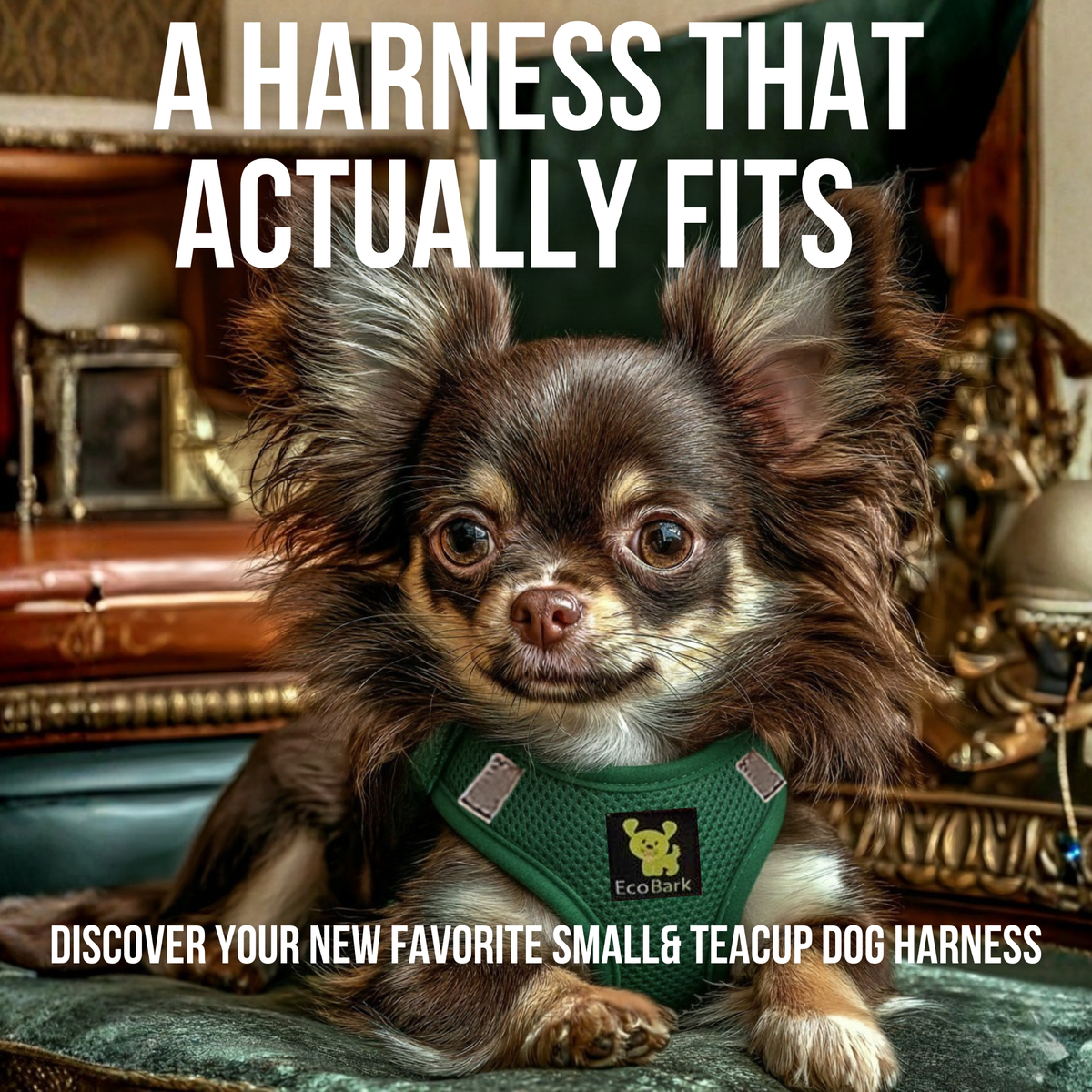 EcoBark Forest Green Step In Dog Harness - Reflective Soft Mesh Harness for Teacup, Small Dogs and Puppies - BIG FRENCHIES