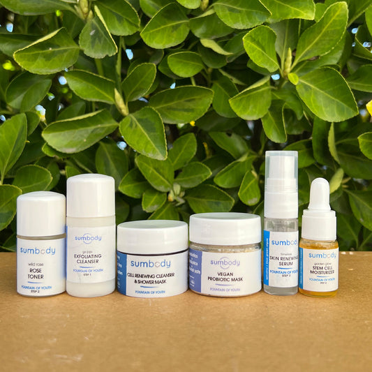 5 Steps to Perfect Skin Fountain of Youth Mini Kit - BIG FRENCHIES