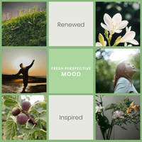 Fresh Perspective – Bamboo & Jasmine Room Spray - BIG FRENCHIES