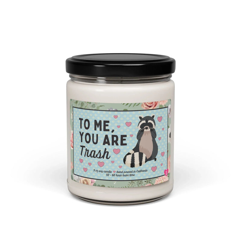 Funny Raccoon Candle - BIG FRENCHIES