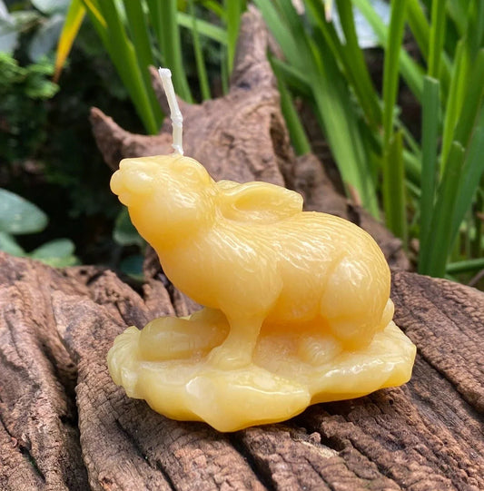 Garden Rabbit Beeswax Candle - BIG FRENCHIES