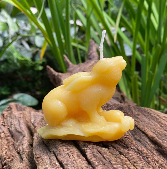 Garden Rabbit Beeswax Candle - BIG FRENCHIES