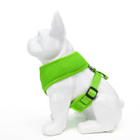 EcoBark Lime Green Dog Harness - Over-the-Head Soft Mesh Dog Vest Halter for Small to Medium Dogs and Puppies - BIG FRENCHIES