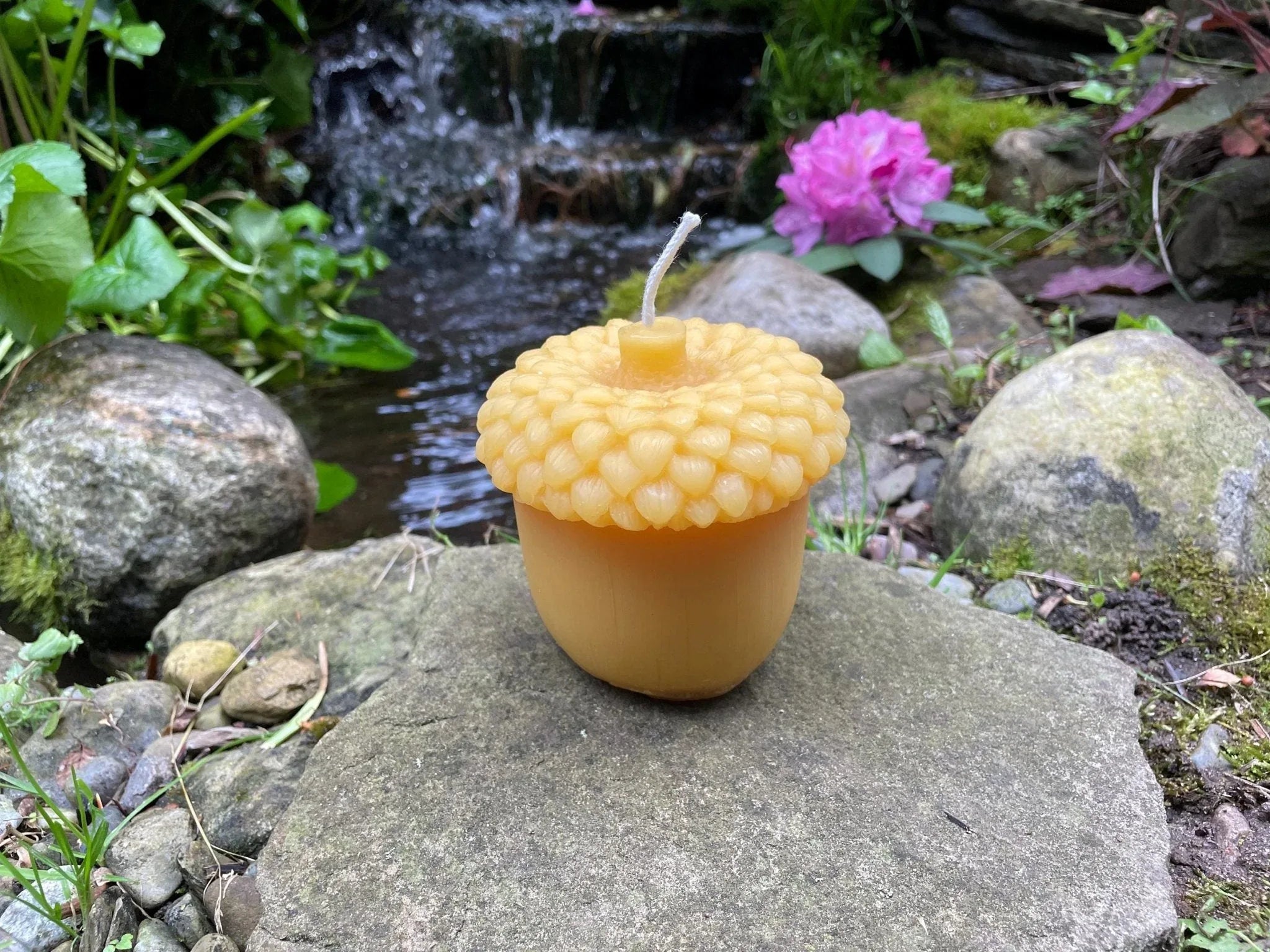 Giant Acorn Beeswax Candle - BIG FRENCHIES