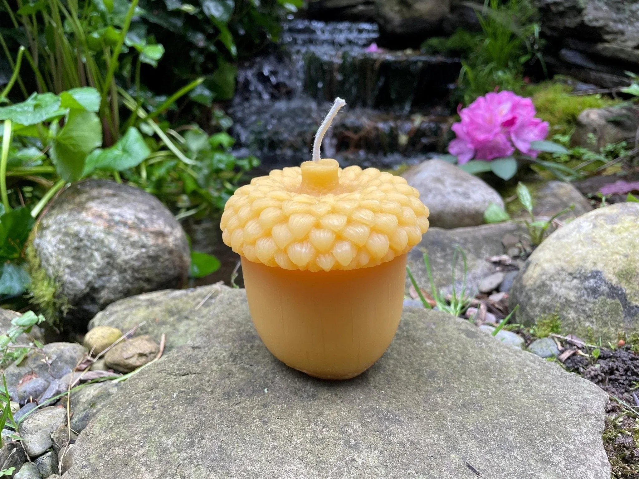 Giant Acorn Beeswax Candle - BIG FRENCHIES