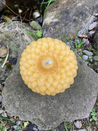Giant Acorn Beeswax Candle - BIG FRENCHIES