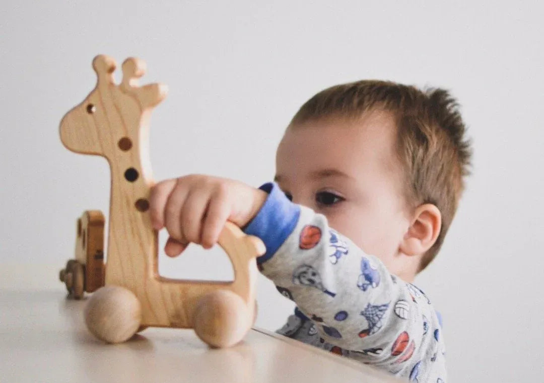 Giraffe Push Toy - BIG FRENCHIES