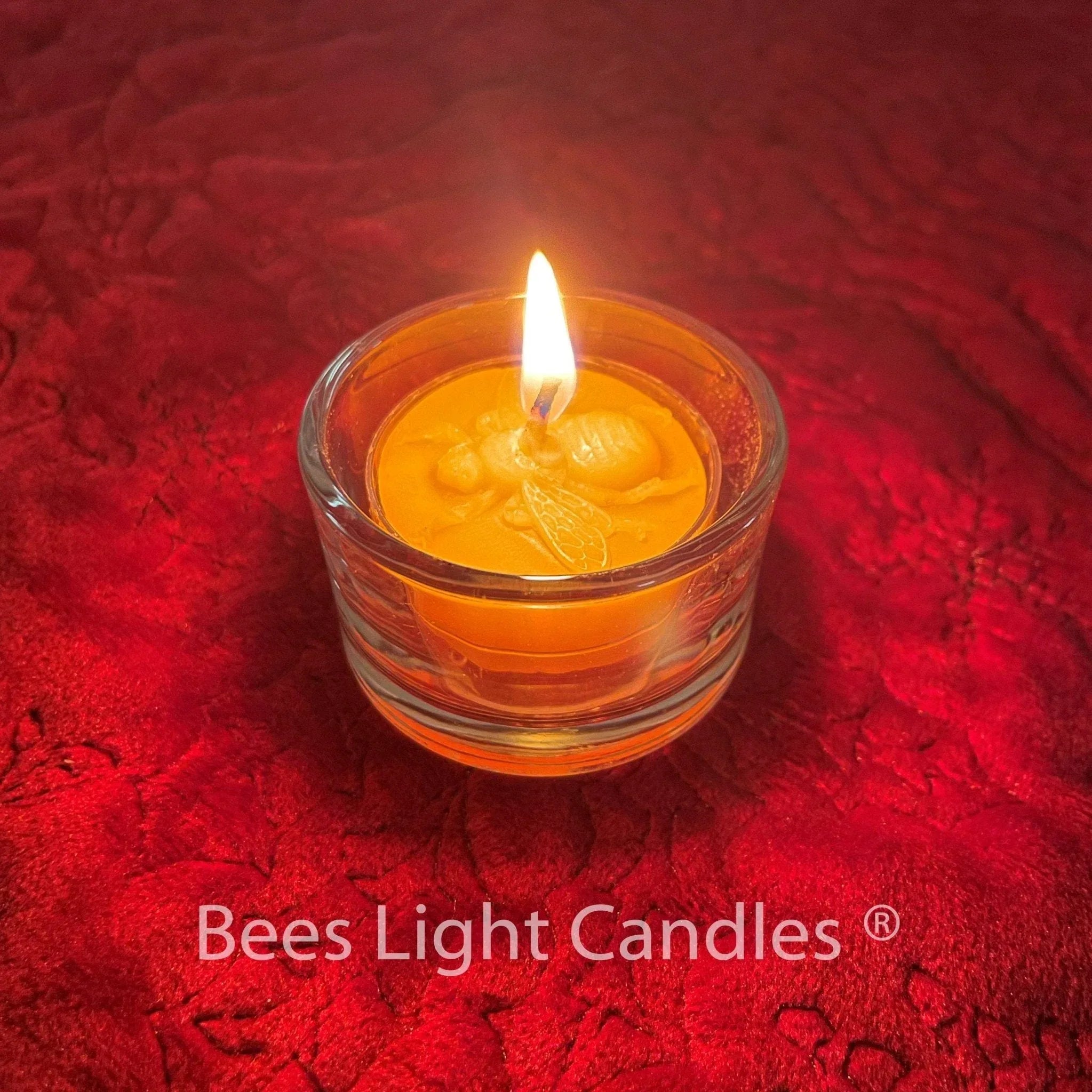 Clear Glass Tealight Holders - BIG FRENCHIES