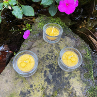 Clear Glass Tealight Holders - BIG FRENCHIES