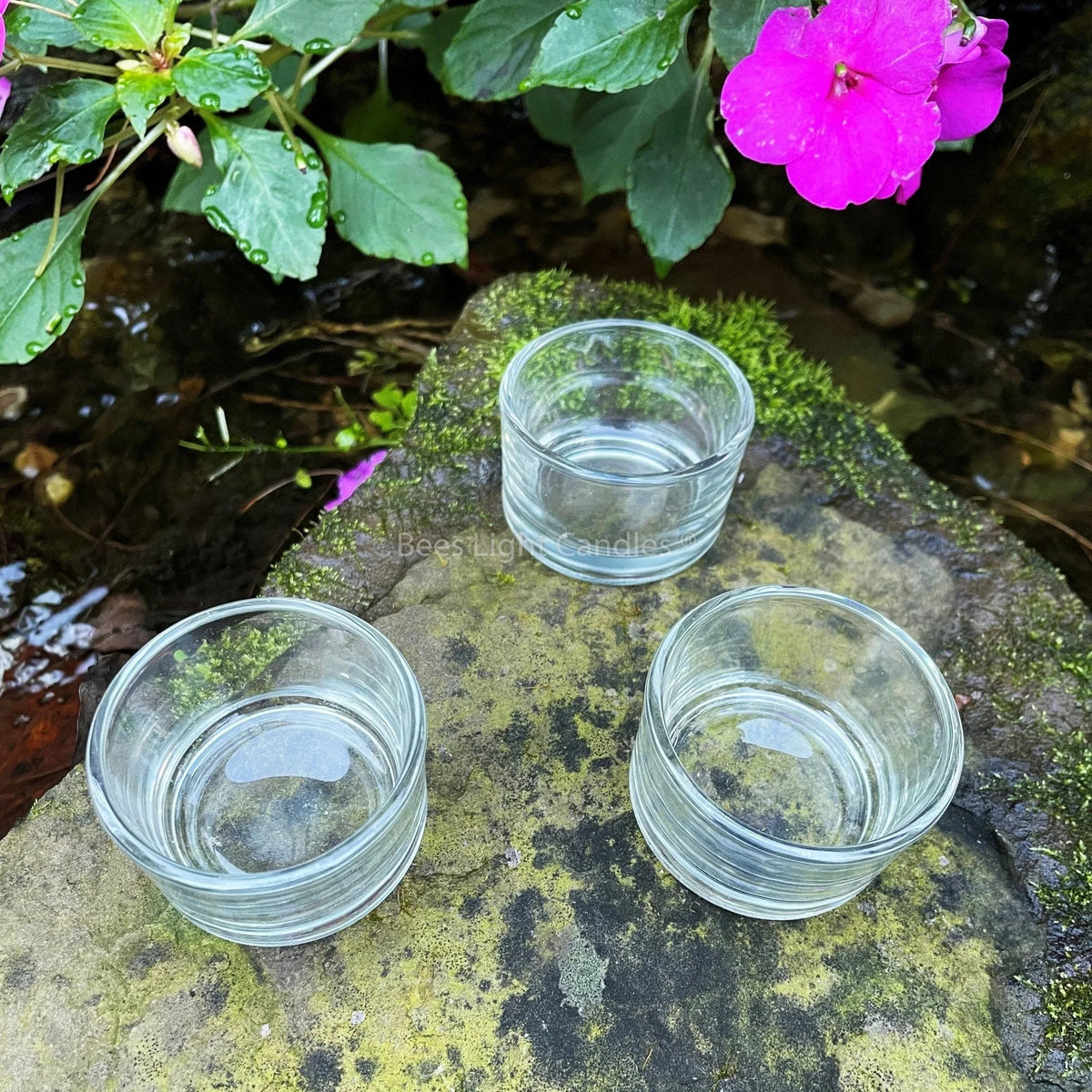 Clear Glass Tealight Holders - BIG FRENCHIES