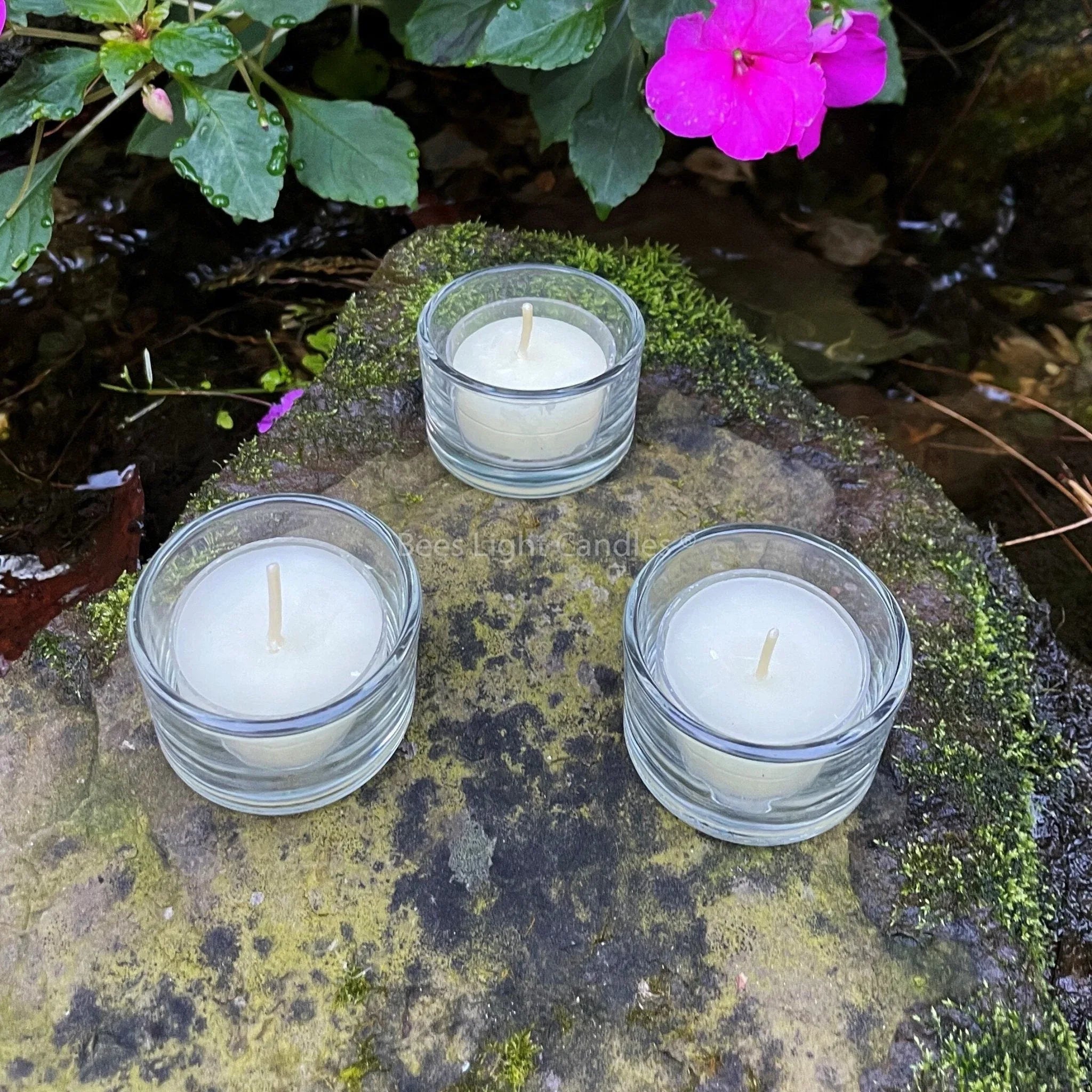 Clear Glass Tealight Holders - BIG FRENCHIES