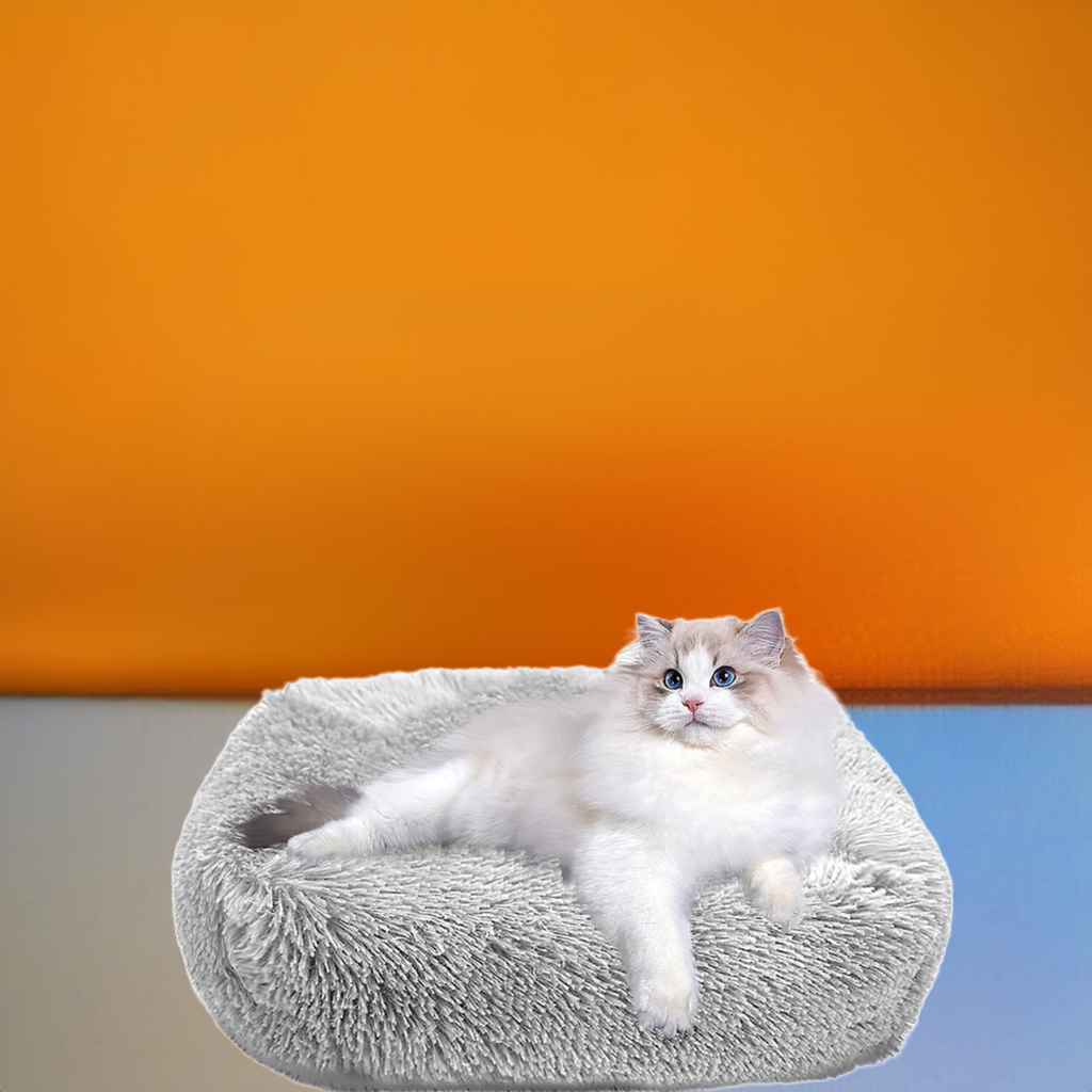 Cat Bed for Indoor Cats and small dogs - BIG FRENCHIES
