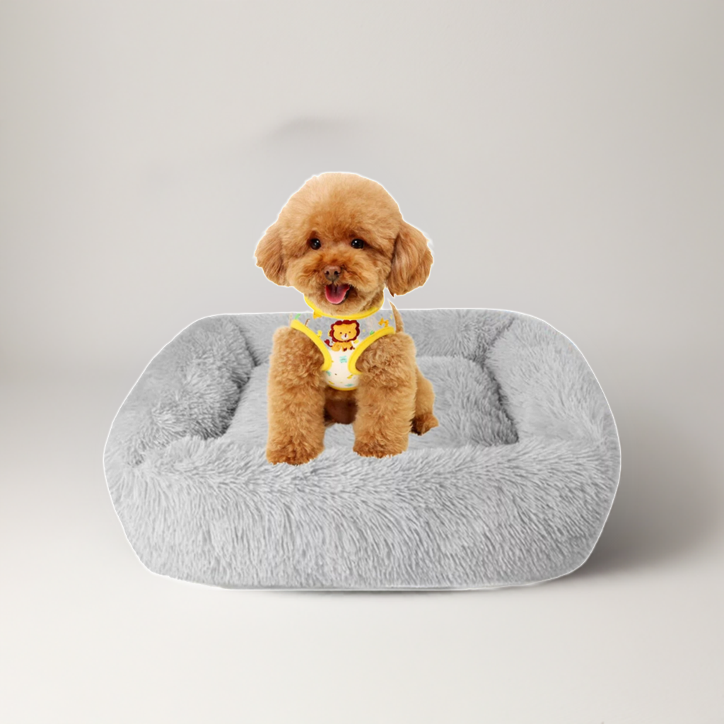 Best Washable Gray Plush Beds for Cats and Dogs - BIG FRENCHIES