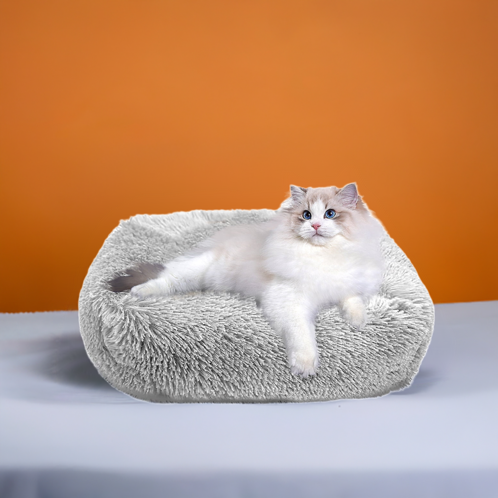 Cat Bed for Indoor Cats and small dogs - BIG FRENCHIES