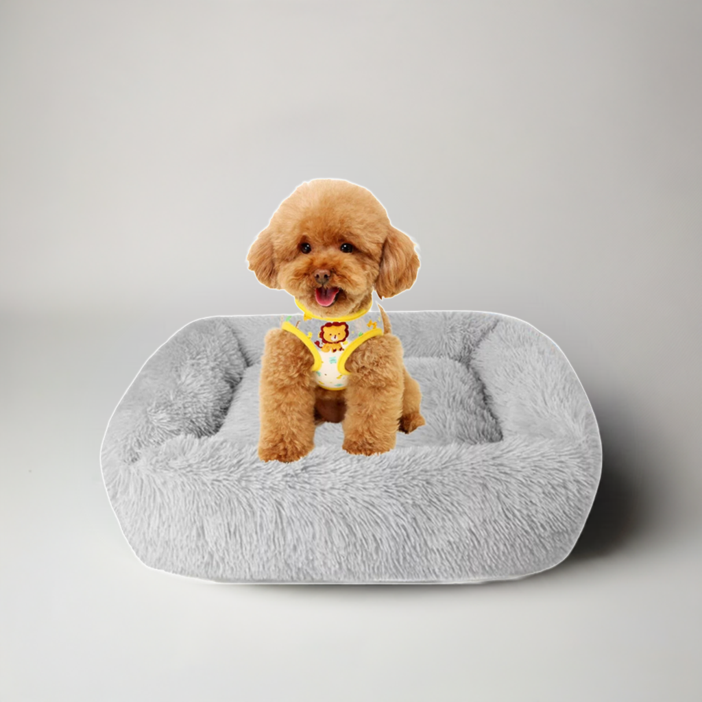 Best Washable Gray Plush Beds for Cats and Dogs - BIG FRENCHIES