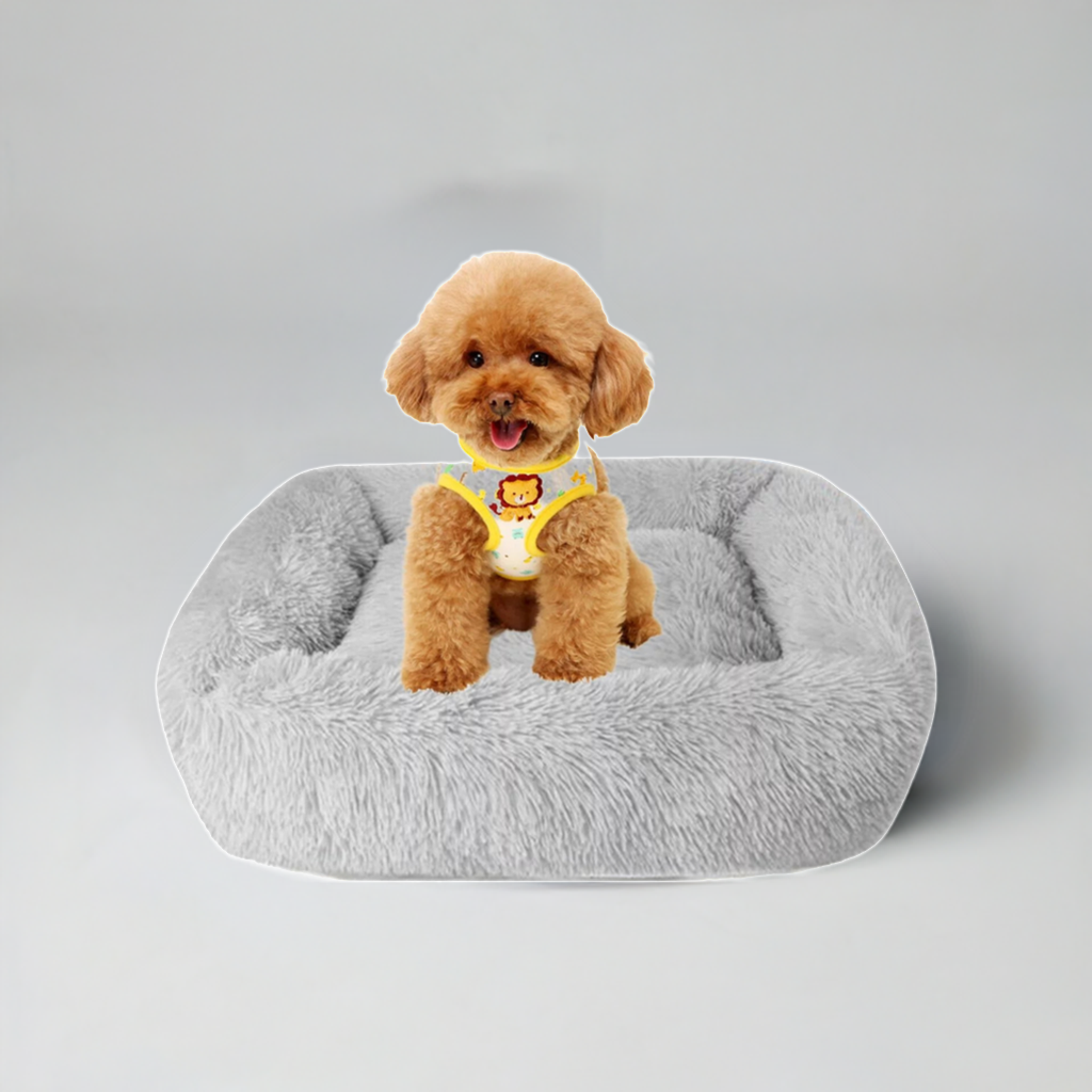 Best Washable Gray Plush Beds for Cats and Dogs - BIG FRENCHIES