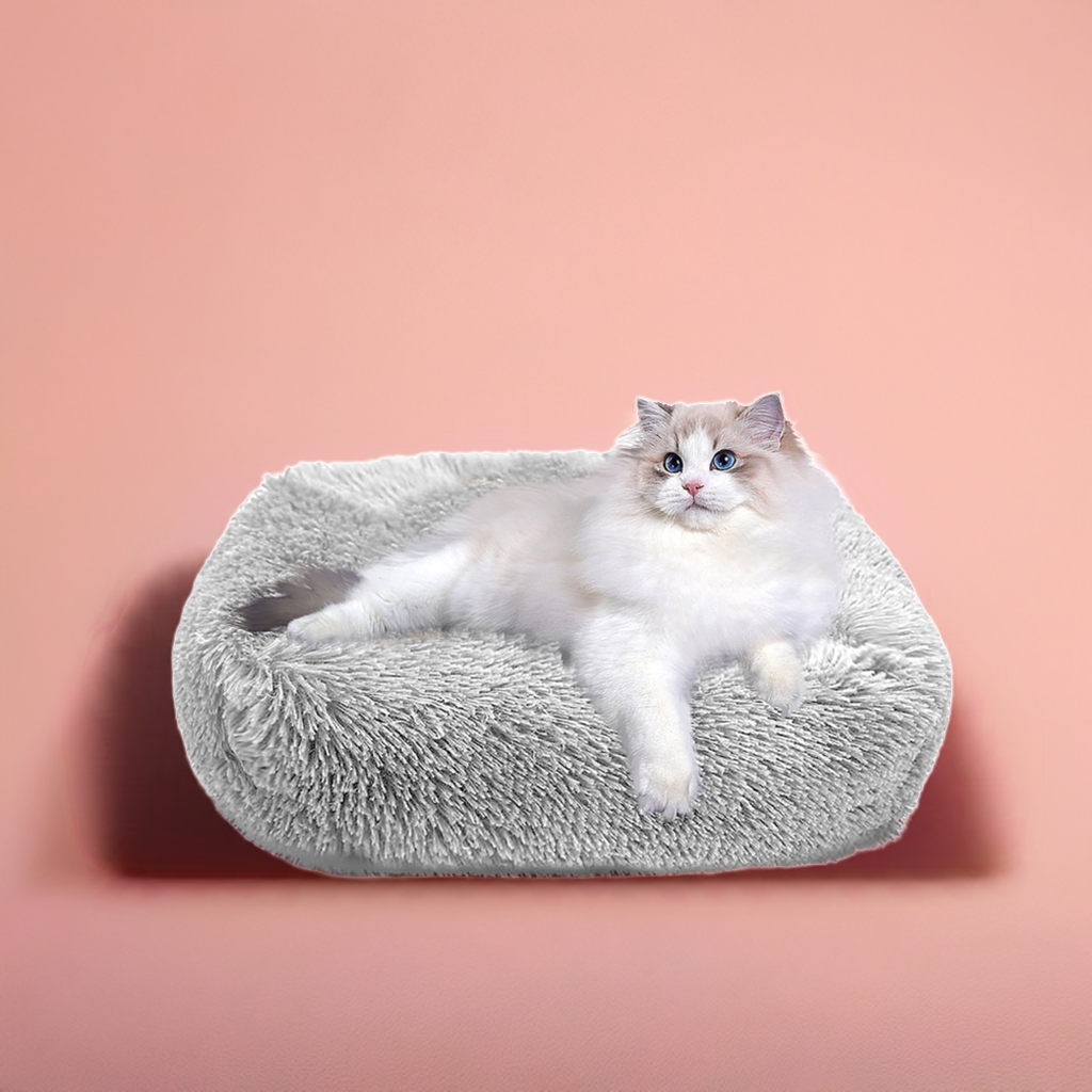 Cat Bed for Indoor Cats and small dogs - BIG FRENCHIES