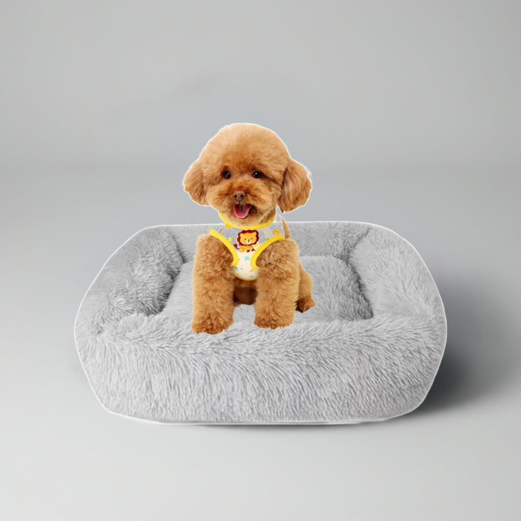 Best Washable Gray Plush Beds for Cats and Dogs - BIG FRENCHIES