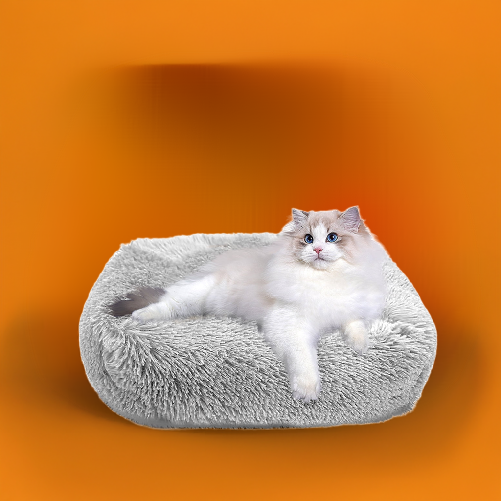 Cat Bed for Indoor Cats and small dogs - BIG FRENCHIES