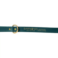 Barrows Dog Leash - Green