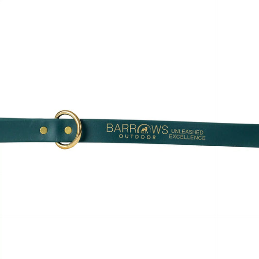 Barrows Dog Leash - Green