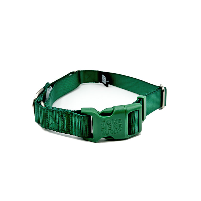 Martingale Dog Collar-Pet Collars & Harnesses-BIG FRENCHIES-Come Here Buddy