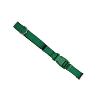Martingale Dog Collar