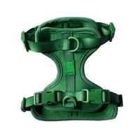 Harness
