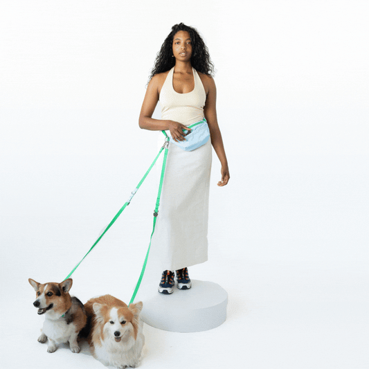 Hands-Free Dog Walking Bag with 4ft Leash - BIG FRENCHIES