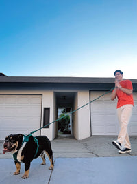 Kismet Dog Leash