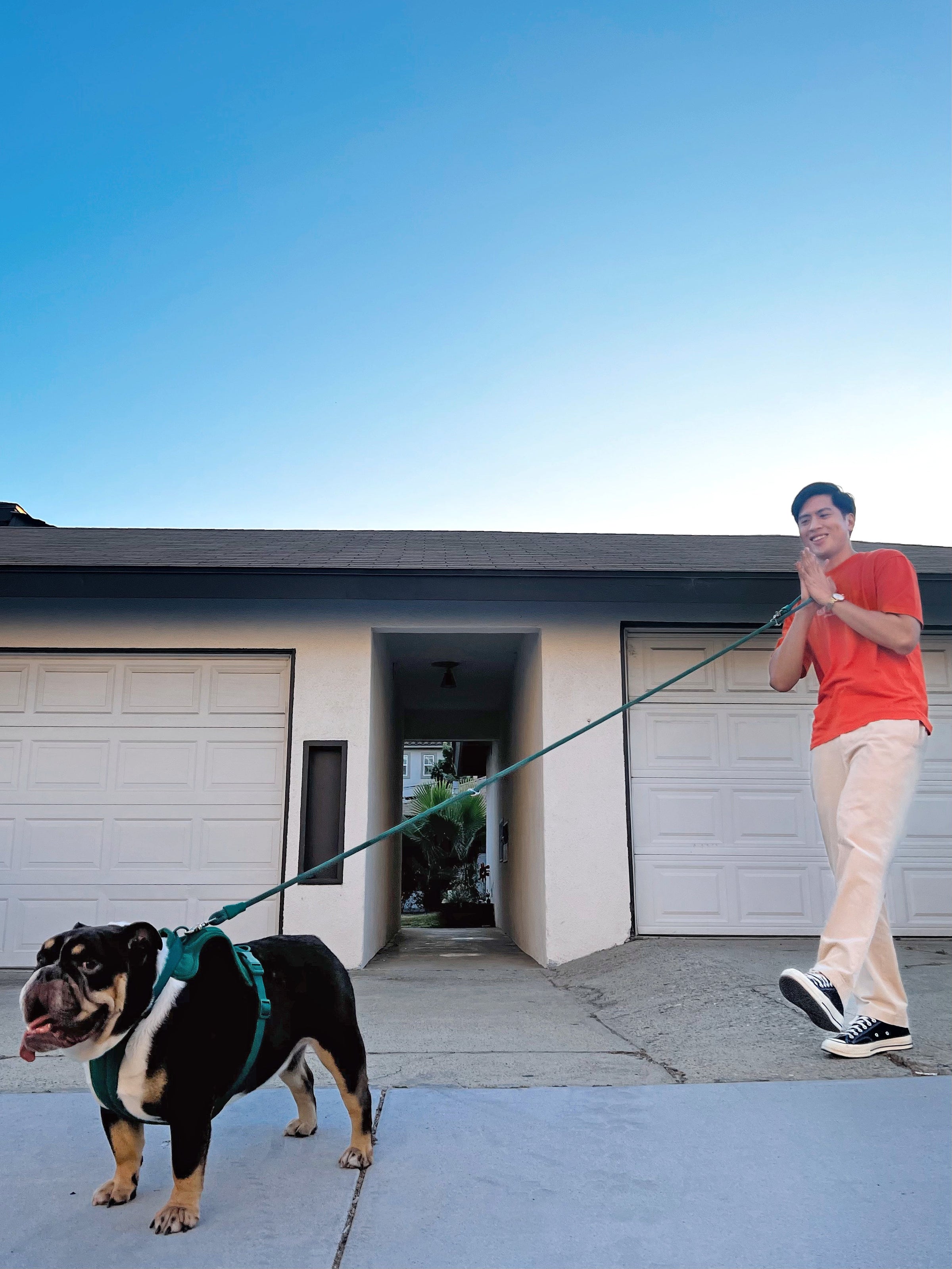 Kismet Dog Leash