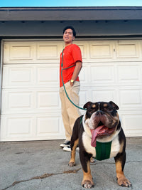 Kismet Dog Leash