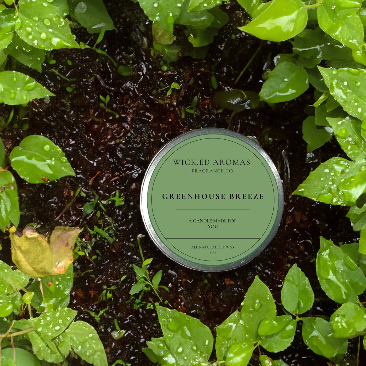 Greenhouse Breeze Travel Tin - BIG FRENCHIES