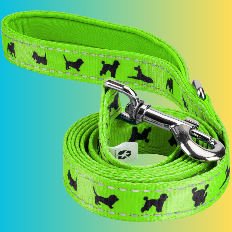 EcoBark Lime Green Dog Leash- Padded Comfort Grip Leash - 4ft, 5ft, and 6ft Dog Leash for Small and Medium Dogs - BIG FRENCHIES
