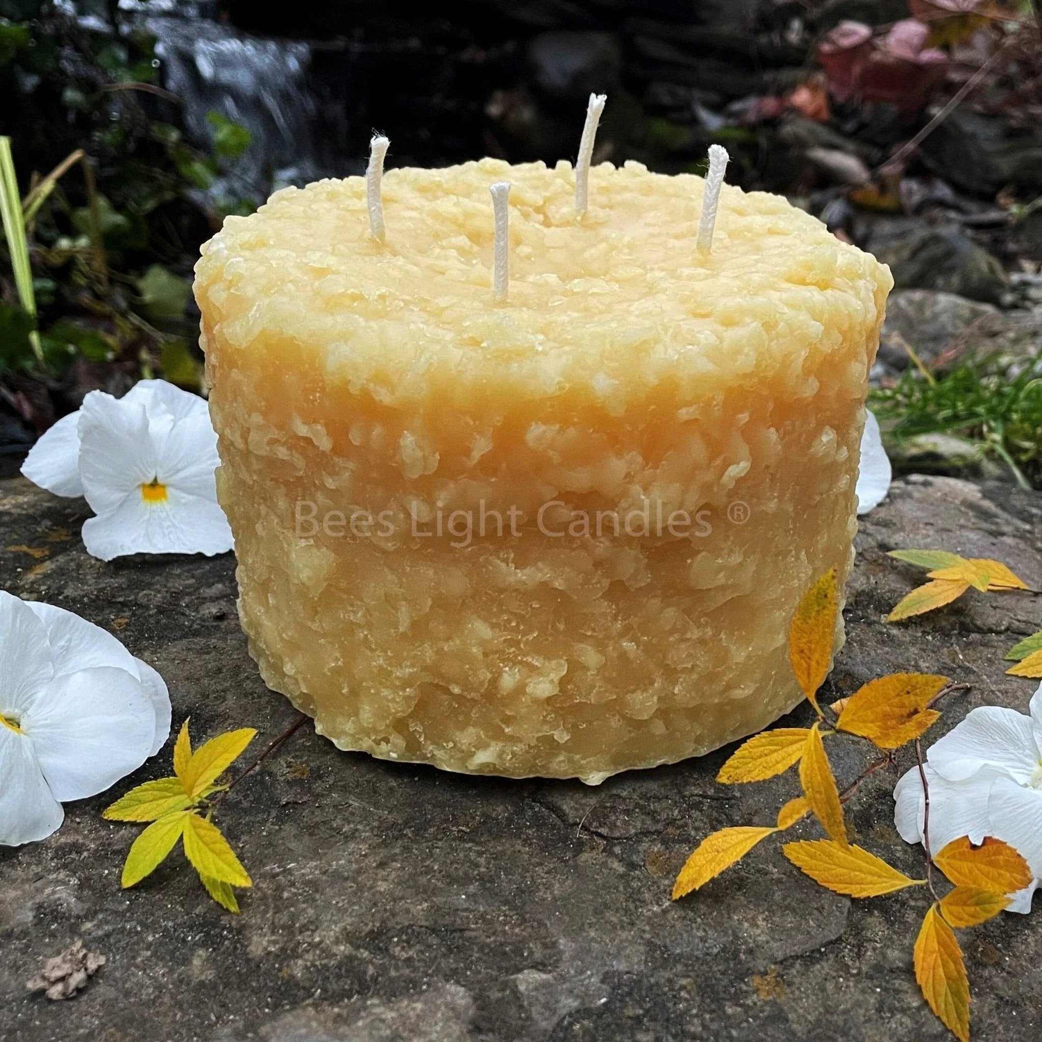 Grubby 6x5" LARGE Pillar Beeswax Candle - BIG FRENCHIES
