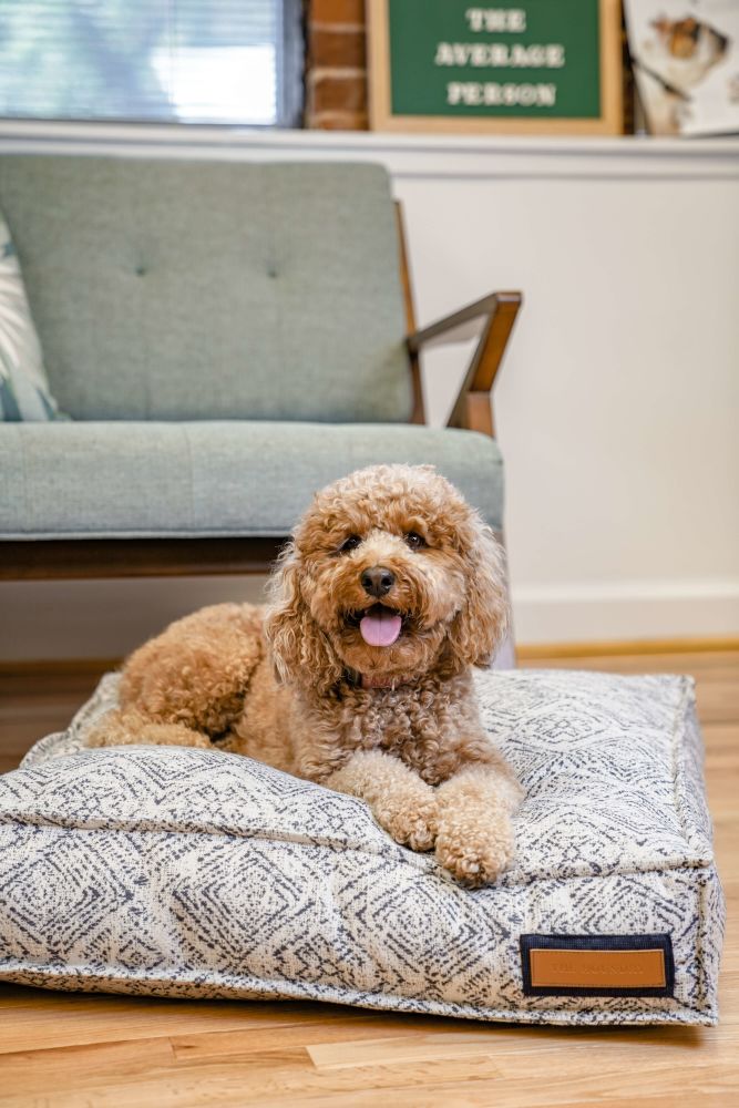 Lounger Pet Bed in Sapphire Spaniel - BIG FRENCHIES
