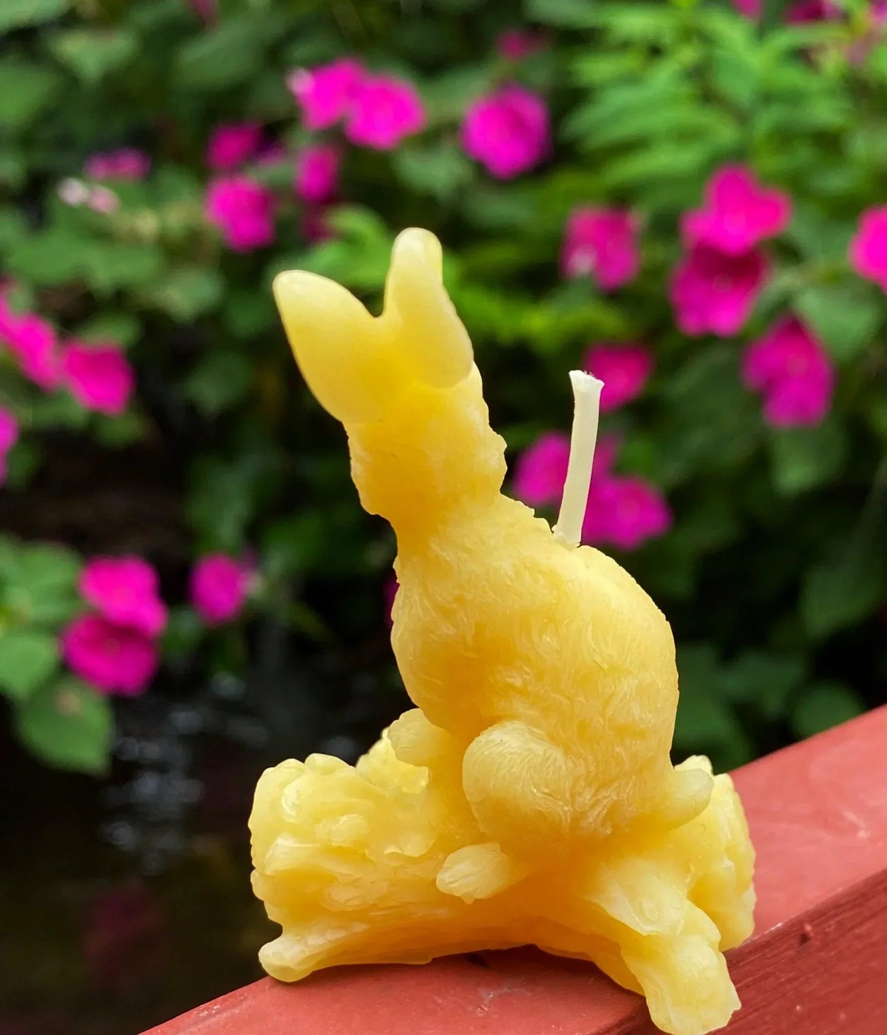 Hare Beeswax Candle - BIG FRENCHIES
