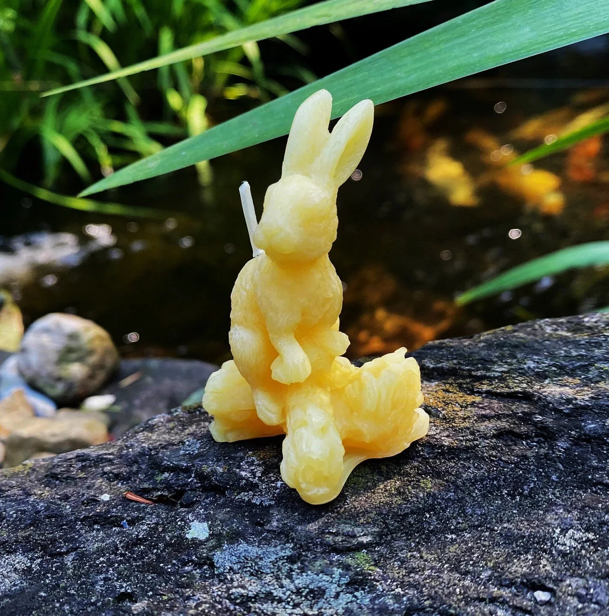 Hare Beeswax Candle - BIG FRENCHIES
