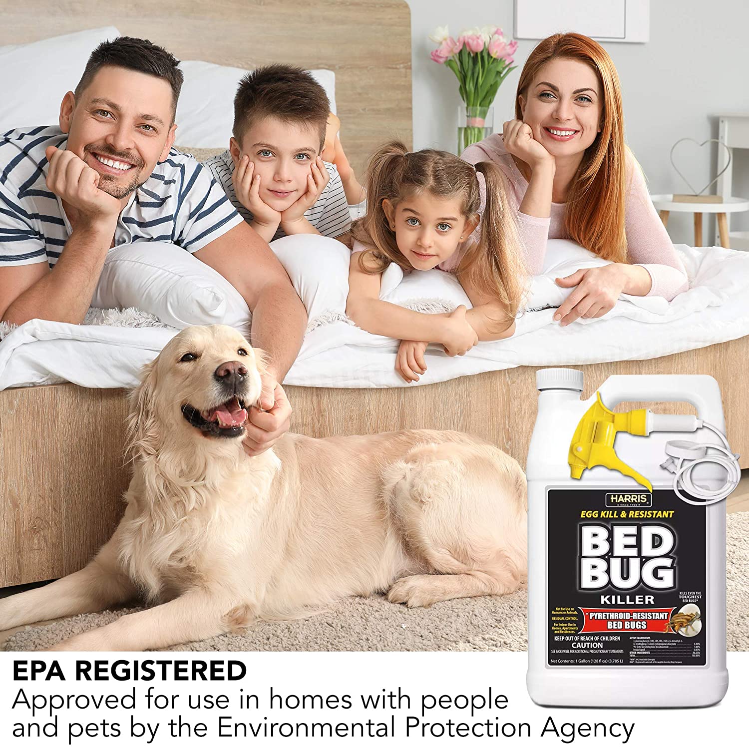 Harris Bed Bug Killer Extended Black Gallon Residual Spray Kills Resistant Bed Bugs & Eggs