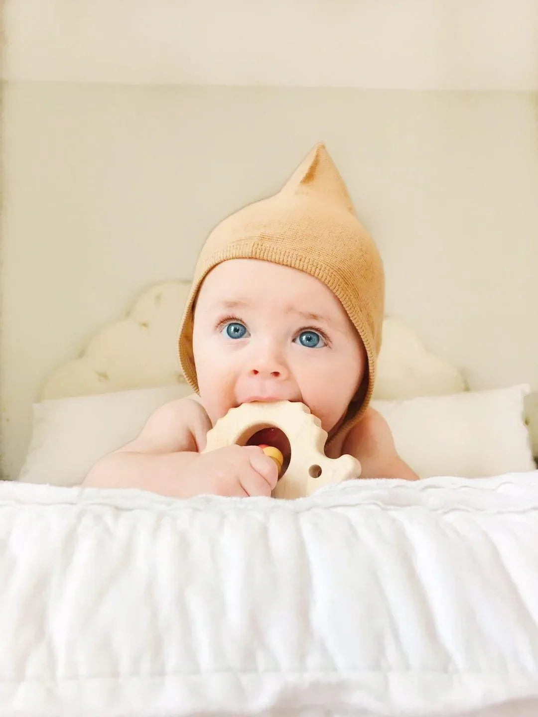 Hedgehog Wooden Baby Grasping Toy - BIG FRENCHIES