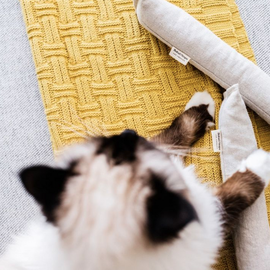 Boba & Vespa Cat Kicker Toy for Bunny Kicks  - DOGS love it too!