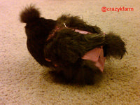 Hen Holster Chicken Diaper Harness with Permanent Sewn-in Liner (Duck Diaper, Goose Diaper, Parrot Diaper)