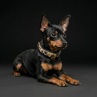 The Leopard Puppy Collar